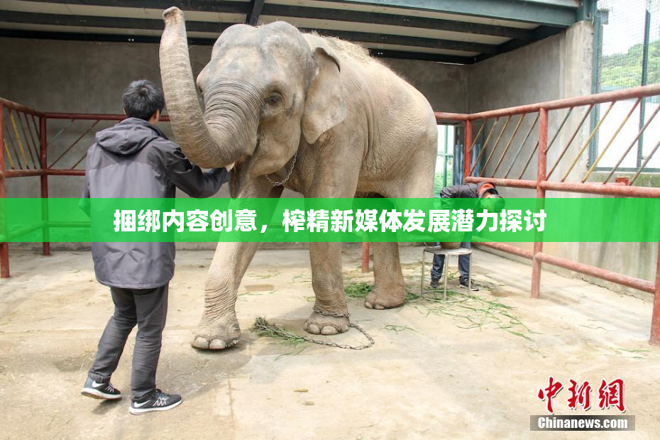 捆绑内容创意，榨精新媒体发展潜力探讨