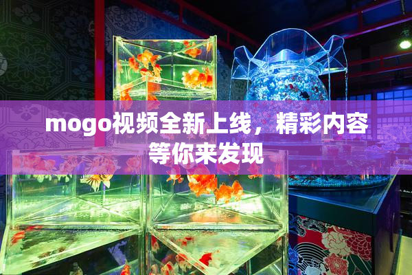 mogo视频全新上线，精彩内容等你来发现