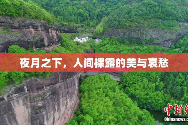 夜月之下，人间裸露的美与哀愁
