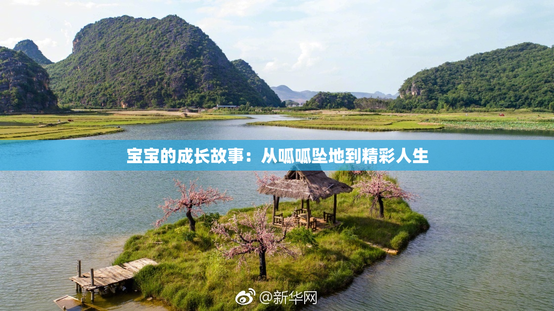 宝宝的成长故事：从呱呱坠地到精彩人生
