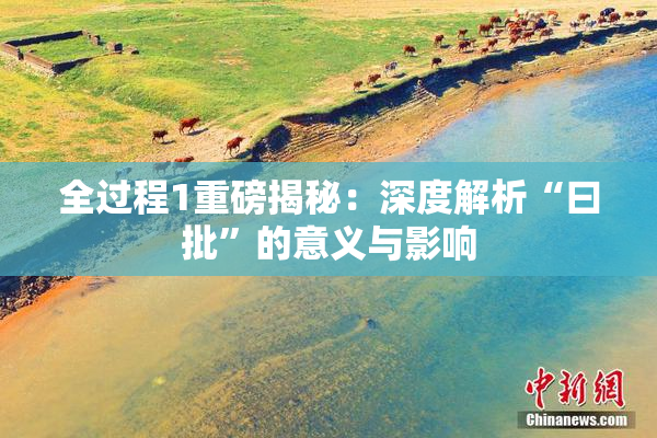 全过程1重磅揭秘：深度解析“曰批”的意义与影响