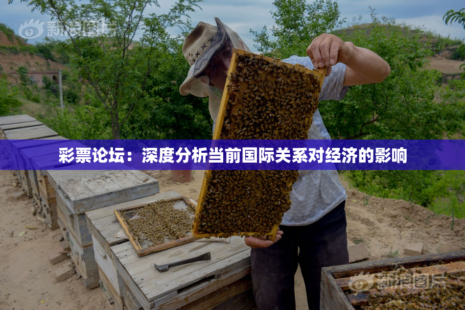 彩票论坛：深度分析当前国际关系对经济的影响