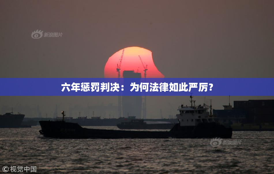 六年惩罚判决：为何法律如此严厉？