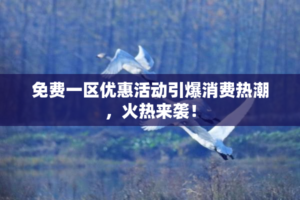 免费一区优惠活动引爆消费热潮，火热来袭！
