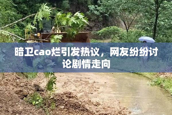 暗卫cao烂引发热议，网友纷纷讨论剧情走向