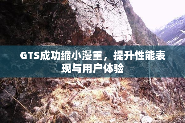 GTS成功缩小漫重，提升性能表现与用户体验
