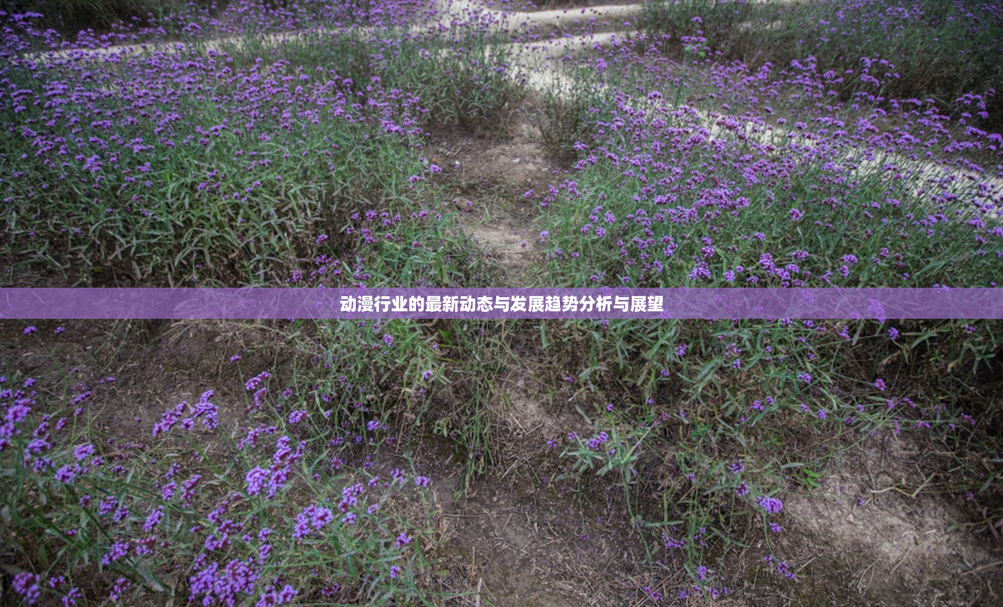 动漫行业的最新动态与发展趋势分析与展望