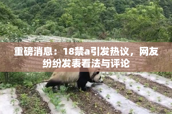 重磅消息：18禁a引发热议，网友纷纷发表看法与评论