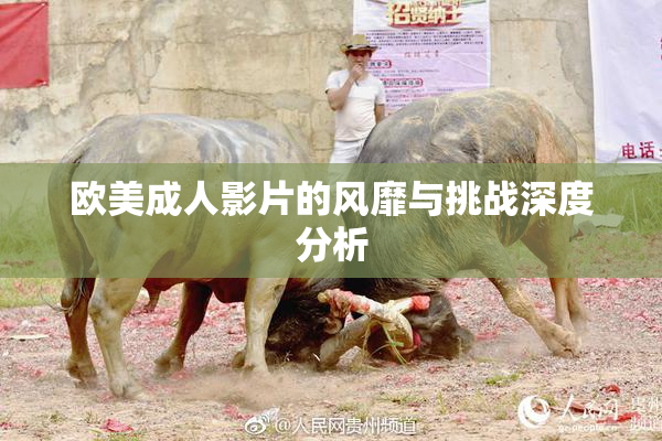 欧美成人影片的风靡与挑战深度分析