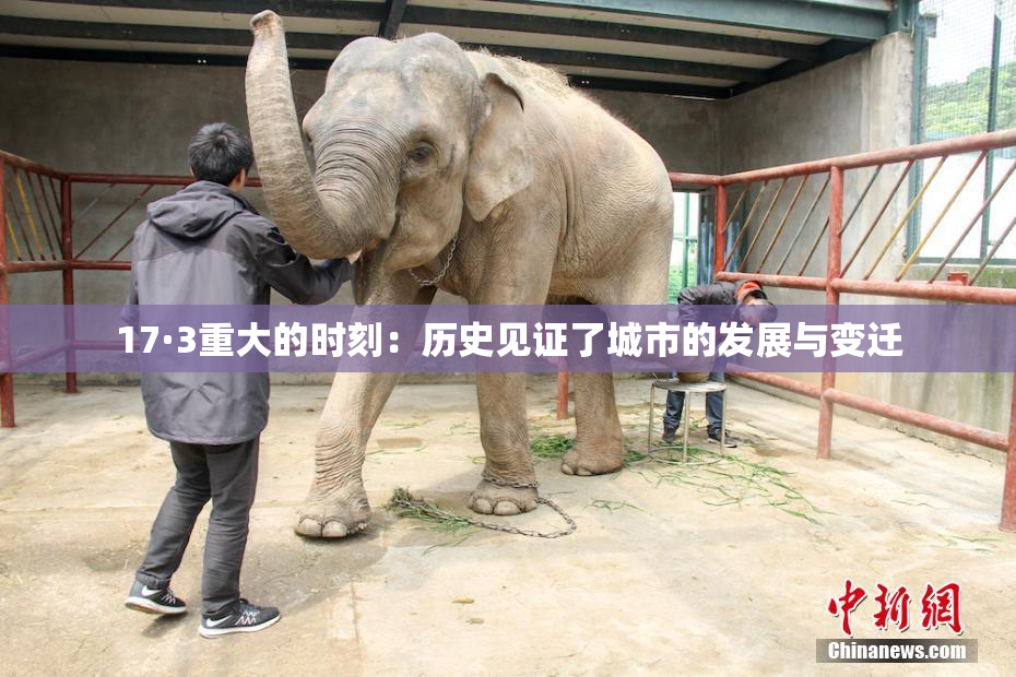17·3重大的时刻：历史见证了城市的发展与变迁