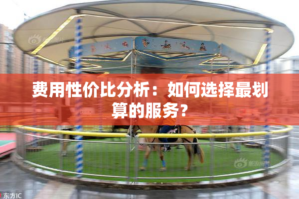 费用性价比分析：如何选择最划算的服务？