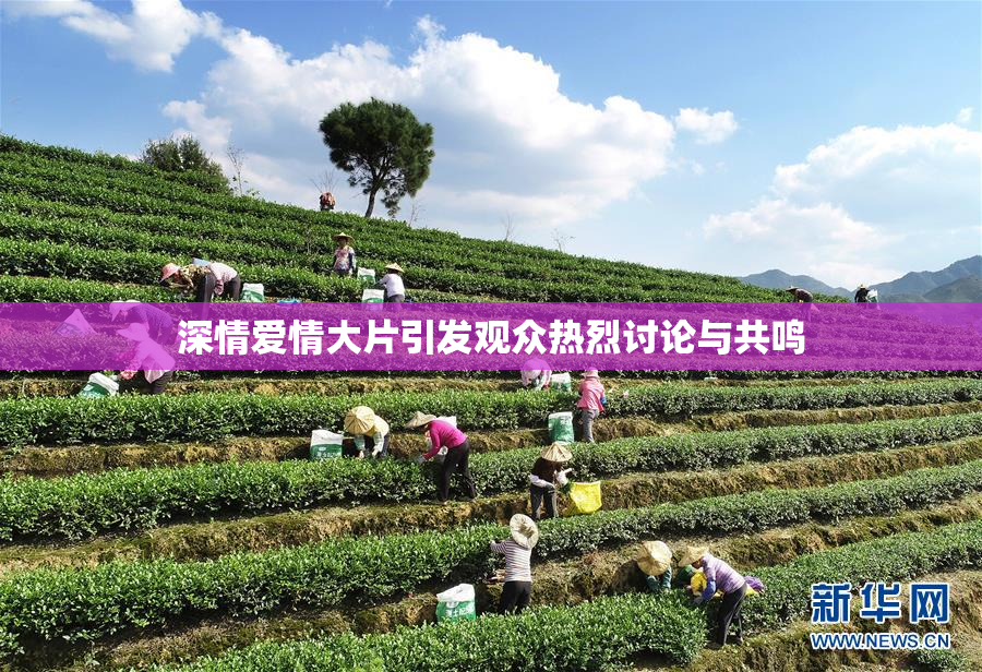 深情爱情大片引发观众热烈讨论与共鸣