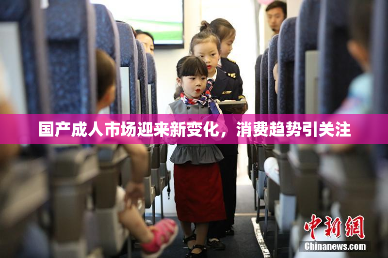 国产成人市场迎来新变化，消费趋势引关注