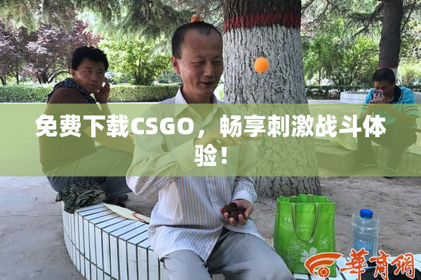 免费下载CSGO，畅享刺激战斗体验！