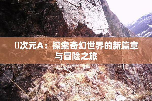 囧次元A：探索奇幻世界的新篇章与冒险之旅