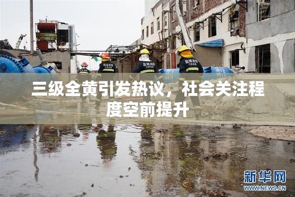 三级全黄引发热议，社会关注程度空前提升