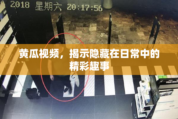 黄瓜视频，揭示隐藏在日常中的精彩趣事
