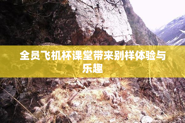 全员飞机杯课堂带来别样体验与乐趣