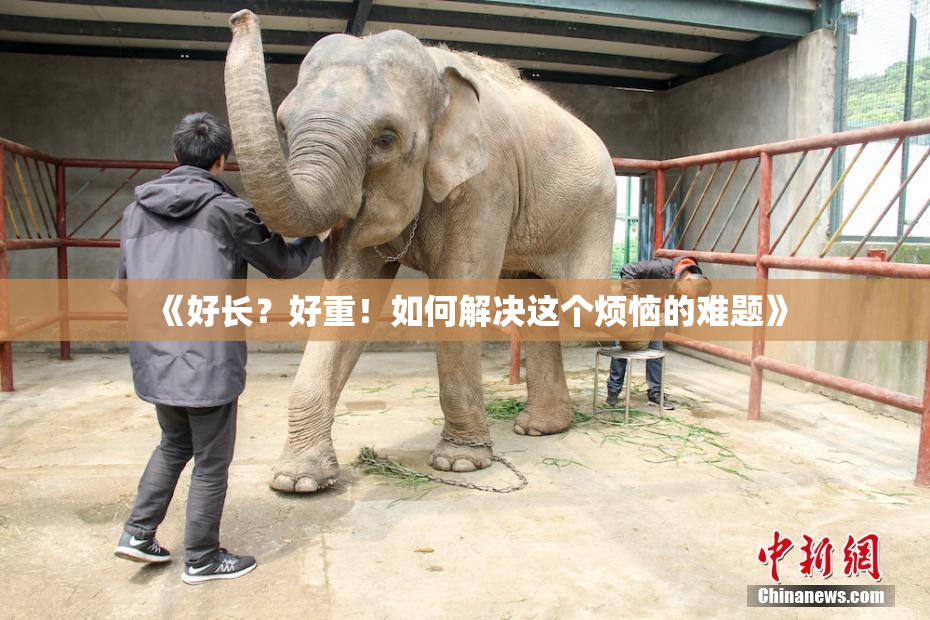 《好长？好重！如何解决这个烦恼的难题》