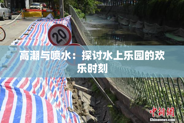 高潮与喷水：探讨水上乐园的欢乐时刻