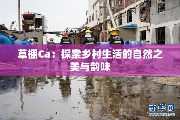 草棚Ca：探索乡村生活的自然之美与韵味