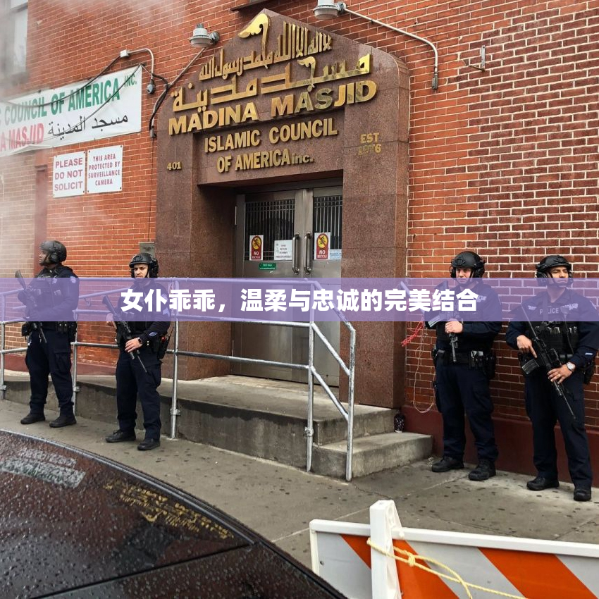 女仆乖乖，温柔与忠诚的完美结合