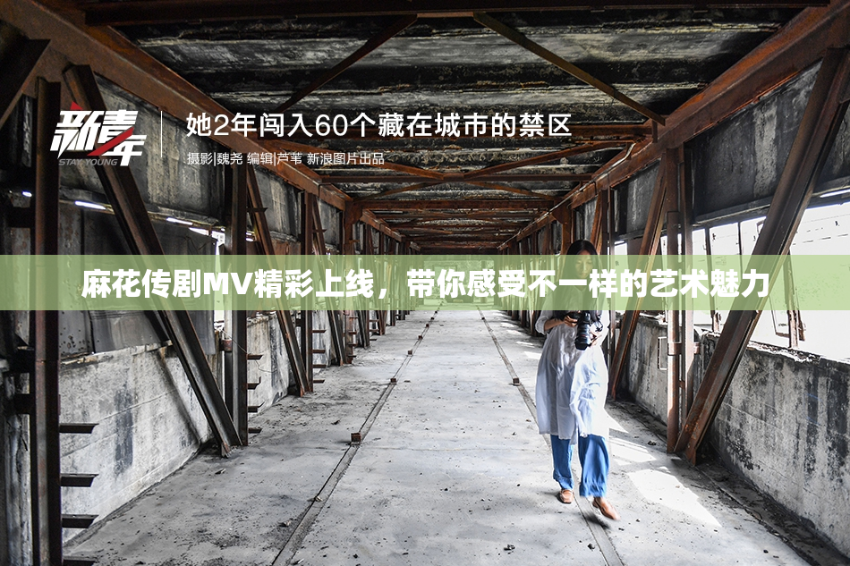 麻花传剧MV精彩上线，带你感受不一样的艺术魅力