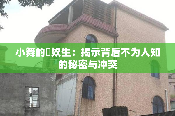 小舞的婬奴生：揭示背后不为人知的秘密与冲突