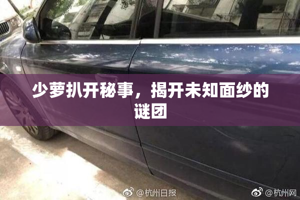 少萝扒开秘事，揭开未知面纱的谜团