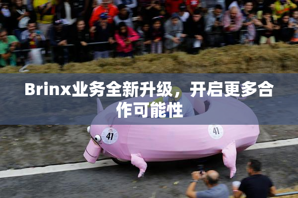 Brinx业务全新升级，开启更多合作可能性