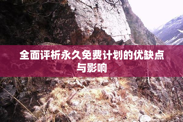 全面评析永久免费计划的优缺点与影响