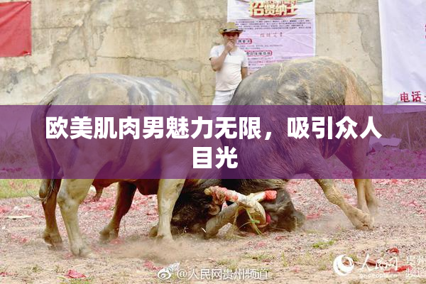 欧美肌肉男魅力无限，吸引众人目光