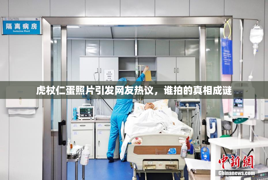 虎杖仁蛋照片引发网友热议，谁拍的真相成谜