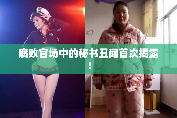 腐败官场中的秘书丑闻首次揭露！