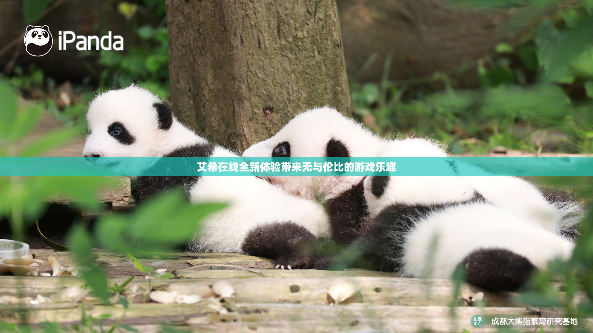 艾希在线全新体验带来无与伦比的游戏乐趣