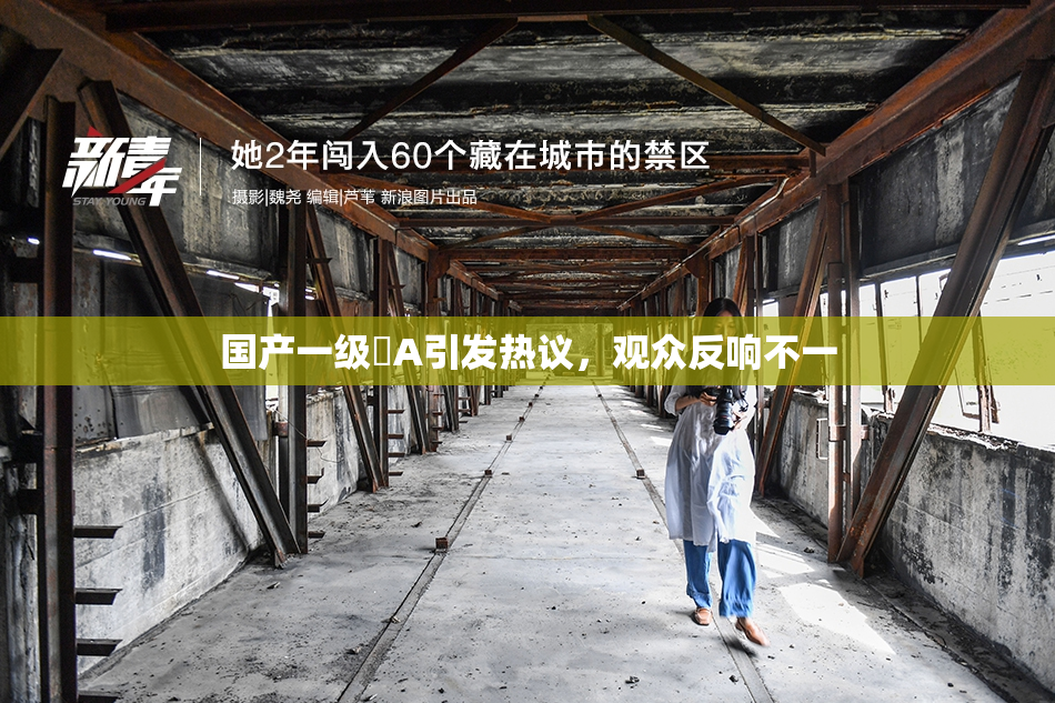 国产一级婬A引发热议，观众反响不一