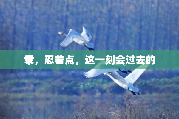 乖，忍着点，这一刻会过去的