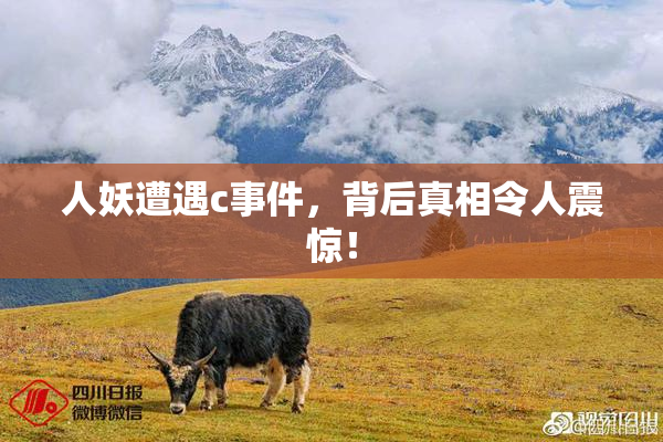 人妖遭遇c事件，背后真相令人震惊！
