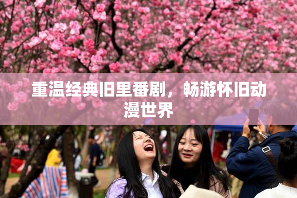 重温经典旧里番剧，畅游怀旧动漫世界