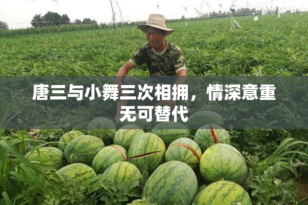 唐三与小舞三次相拥，情深意重无可替代