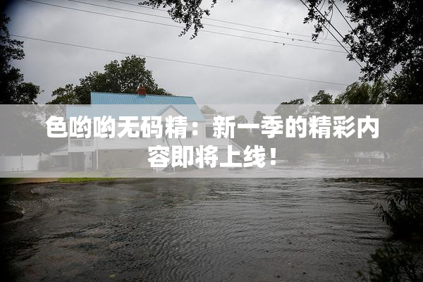 色哟哟无码精：新一季的精彩内容即将上线！