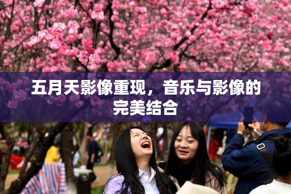 五月天影像重现，音乐与影像的完美结合