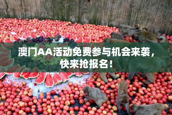 澳门AA活动免费参与机会来袭，快来抢报名！