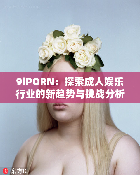 9lPORN：探索成人娱乐行业的新趋势与挑战分析