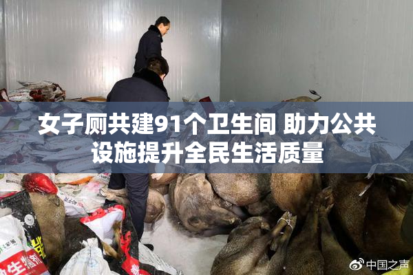 女子厕共建91个卫生间 助力公共设施提升全民生活质量