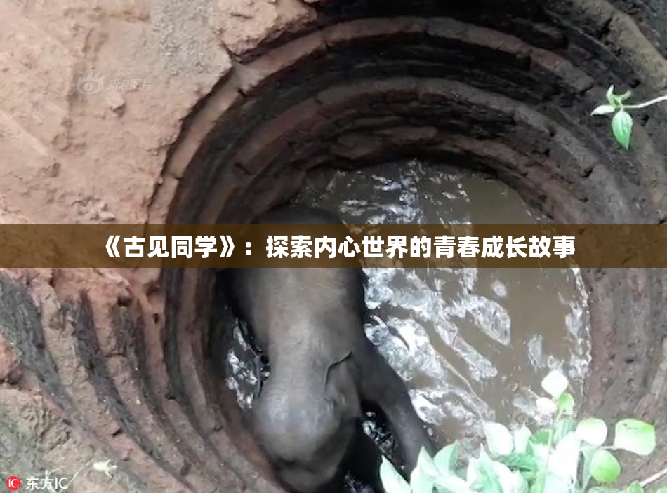 《古见同学》：探索内心世界的青春成长故事