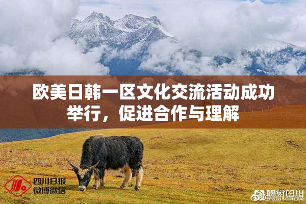 欧美日韩一区文化交流活动成功举行，促进合作与理解