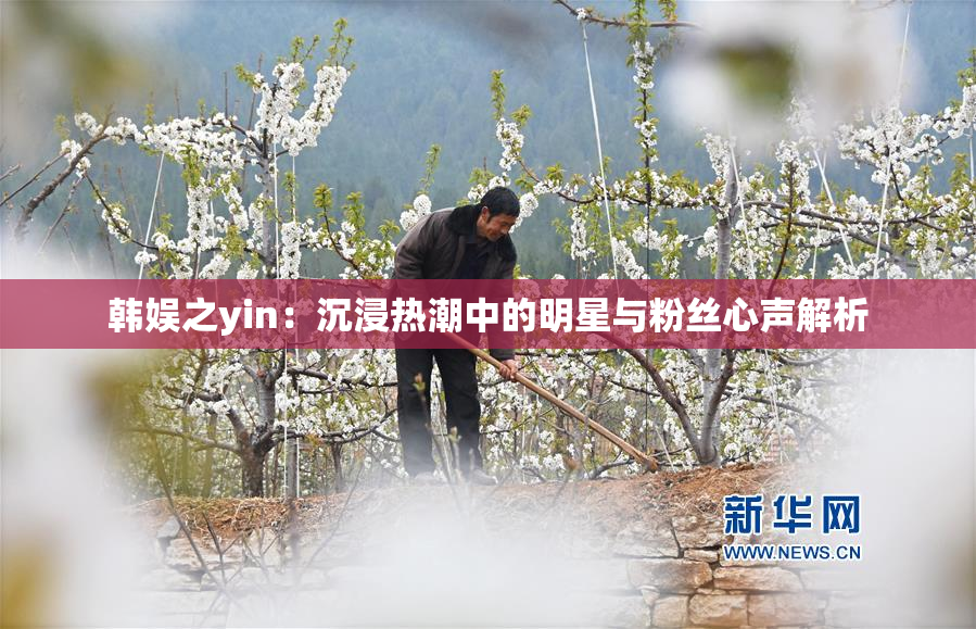 韩娱之yin：沉浸热潮中的明星与粉丝心声解析