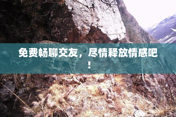 免费畅聊交友，尽情释放情感吧！