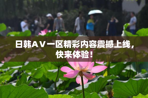 日韩AⅤ一区精彩内容震撼上线，快来体验！